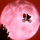 Picture for song 'Money Over ET W/O Hook (Free D/L)' by artist '682 Varsity Productions'