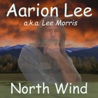 Picture for song 'North Wind' by artist 'Aarion Lee'