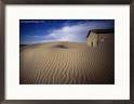 Picture for song 'Diamond In The Sand' by artist 'Adam Warnock'