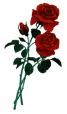 Picture for song 'La Gitana' by artist 'AJH Solo'