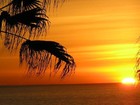 Picture for song 'Sunsets' by artist 'Alan Helms'