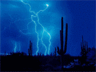 Picture for song 'The Storm' by artist 'AlmegA Seven aka Dr BeatZ'
