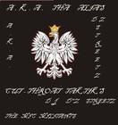 Picture for song 'DROPIN EM SIKK STYLE' by artist 'alpha genesis'