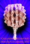 Picture for song 'CASUARINA DREAMTIME' by artist 'AMBRADUNA'