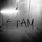 Picture for song '4AM (PST)' by artist 'AmR (US)'