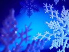 Picture for song 'Let it Snow' by artist 'Amy Caldwell and Tom Moore'