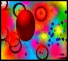 Picture for song 'Cat 1987' by artist 'Amy Lohrman'