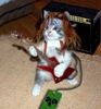 Picture for song 'Samba Pa Ti' by artist 'Andrew Rulton'