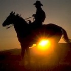Picture for song 'Giddy Up' by artist 'Andy Coconut'