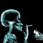 Picture for song 'Call A Spade A Spade' by artist 'Apocalyptic Midnight Death Cult'