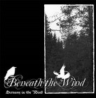 Picture for song 'Beneath The Wind - just waiting III' by artist 'Asfigmia'