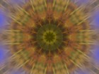 Picture for song 'Ancient Medicinewheel' by artist 'Ashuya'