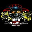 Picture for song 'Lost In The Game' by artist 'Audio Bliss Productions'