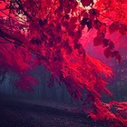 Picture for song 'Diamond (Free DL!)' by artist 'Avaritia Music'