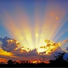 Picture for song 'Sunshine (Prod. by Axis Beats) 95 bpm' by artist 'Axis Beats (US)'