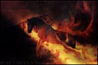 Picture for song 'Reborn (Orch Heat)' by artist 'AYCai'