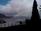 Picture for song 'Chasing Hardings rainbow' by artist 'Baby Schulz'