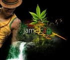 Picture for song 'Reggae Beat Prod By Babysmooth' by artist 'BabysmoothBeatz'