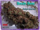 Picture for song 'Right Here (ganja tune mix)' by artist 'badass tunes inc'