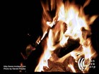Picture for song 'Fire' by artist 'Bastard BASTARD HarbourMastah'