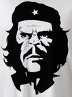 Picture for song 'Bring Back' by artist 'beatmonkee'