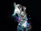 Picture for song '*CLUB* Molly (132 BPM)' by artist 'Beats By Deffy'