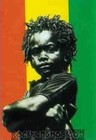 Picture for song 'kingston rebel (Free D/L)' by artist 'Beats By Max Lo'