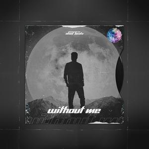 Picture for song 'WITHOUT ME' by artist 'Beats on SteelBeatz.com'