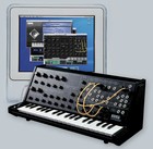 Picture for song 'harmony***Smooth Banga $20.00 Exclusive!!' by artist 'BEATSYDNEY 101'