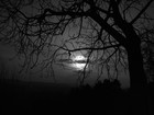 Picture for song 'Tha Reaper Feat Big Ben - Somewhere Along The Road' by artist 'Big Ben420'