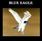 Picture for song 'BLUE EAGLE (REMIX)' by artist 'Big Catz Den'