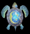 Picture for song 'Free Yourself' by artist 'Blue Sea Turtles'