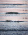Picture for song 'Stars' by artist 'Blunted Angels'
