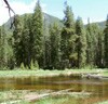 Picture for song 'Fishing Buchanan Creek-Full Mix' by artist 'Bob Blanton Band'