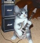 Picture for song 'MCS Rock Anthem' by artist 'Bobby Clohessy aka Black Stratman'