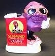 Picture for song 'In Defense of the Raisin' by artist 'Bob Wire'