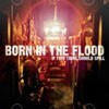 Picture for song 'Anthem' by artist 'Born in the Flood'