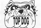 Picture for song 'topdog' by artist 'BOUT SLIM'