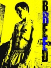 Picture for song 'All Over Again' by artist 'Br33D'
