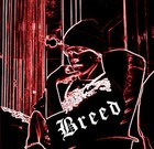 Picture for song 'Grateful' by artist 'Br33D'
