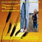 Picture for song 'I Can't Make You Love Me' by artist 'Brando Quin and RavenFeat'