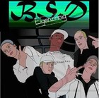 Picture for song '25. Pluk De Vrucht' by artist 'BSD Shit'