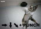 Picture for song 'Tiger 2.0 (s2, Axefx)' by artist 'Bulb'