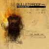 Picture for song 'Bring Me to Life' by artist 'Bulletproof Messenger'