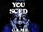 Picture for song 'If U Sced' by artist 'CAMIL'