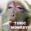Picture for song 'Toxic Monkeys' by artist 'Cam7Song'