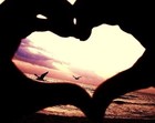 Picture for song 'Summer love(Remember)' by artist 'Capital P 09'