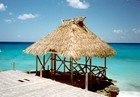 Picture for song 'Huts' by artist 'Catapillar'