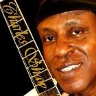 Picture for song 'THE UNITED STATES OF THE BLUES' by artist 'charles shaw'