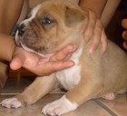 Picture for song 'WHO WANNA TALK THAT sh***' by artist 'CHICANO HUSTLER'